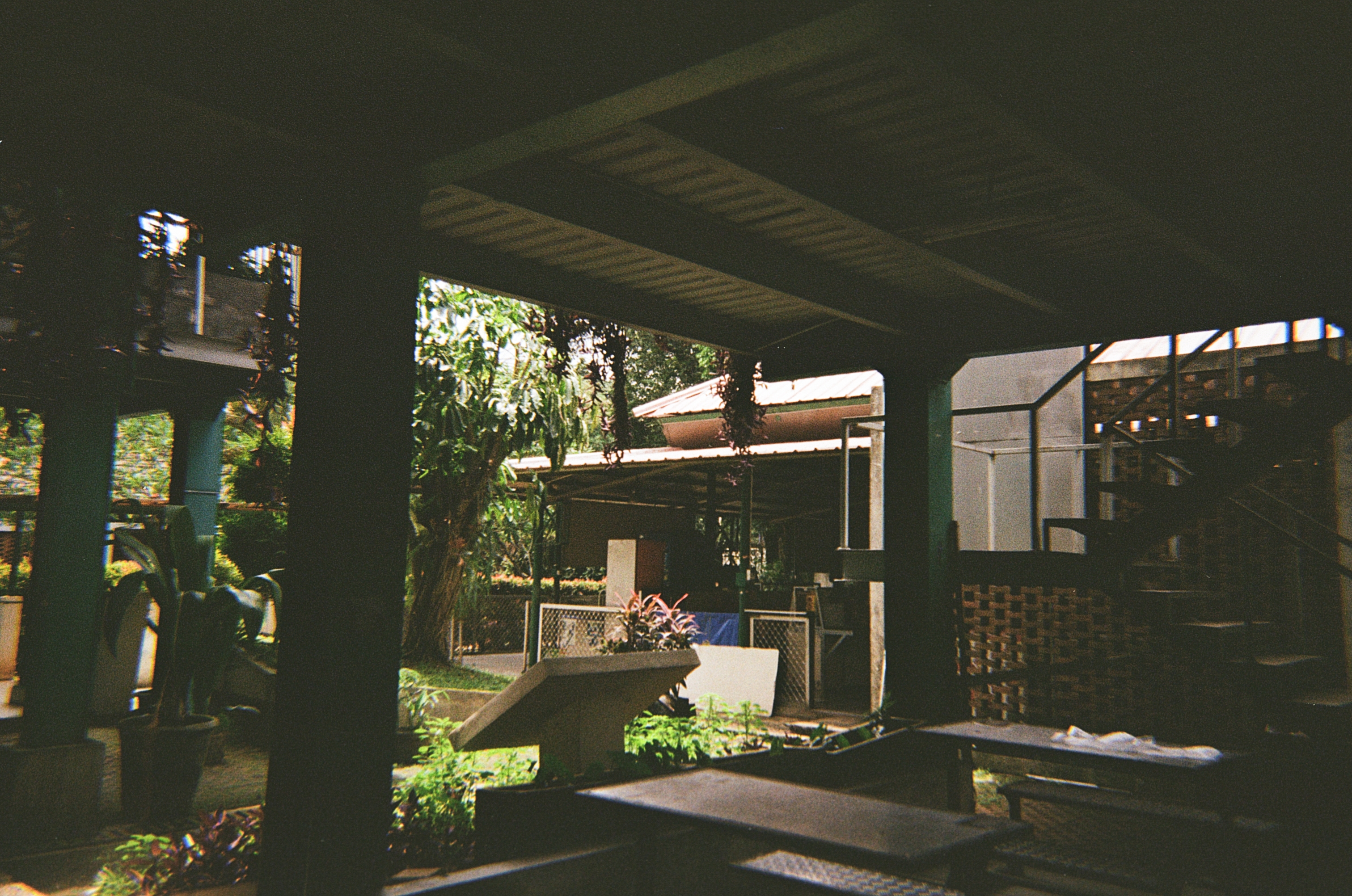 Photo taken in UI Campus