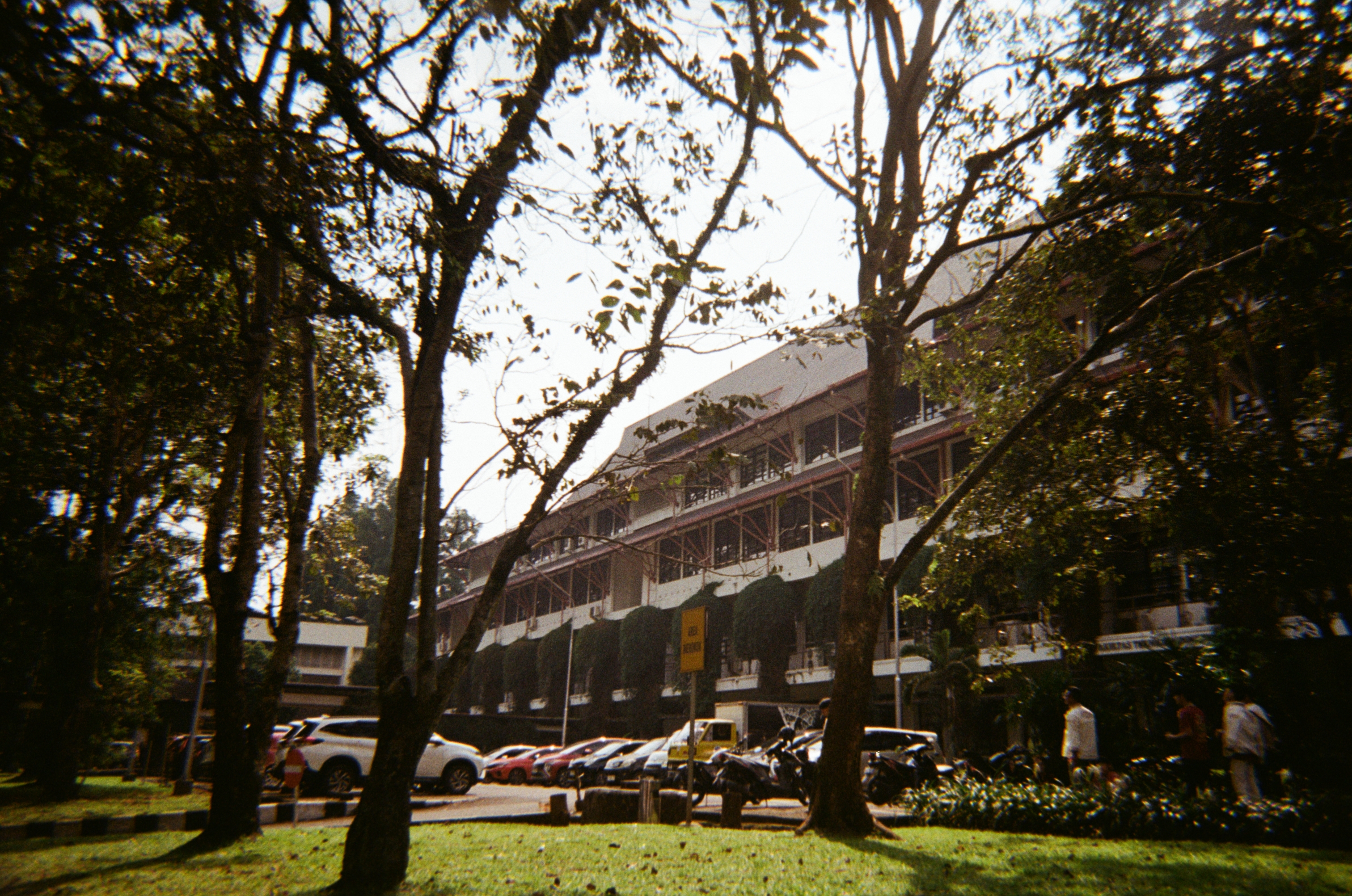 My Journey in the Analog Camera World