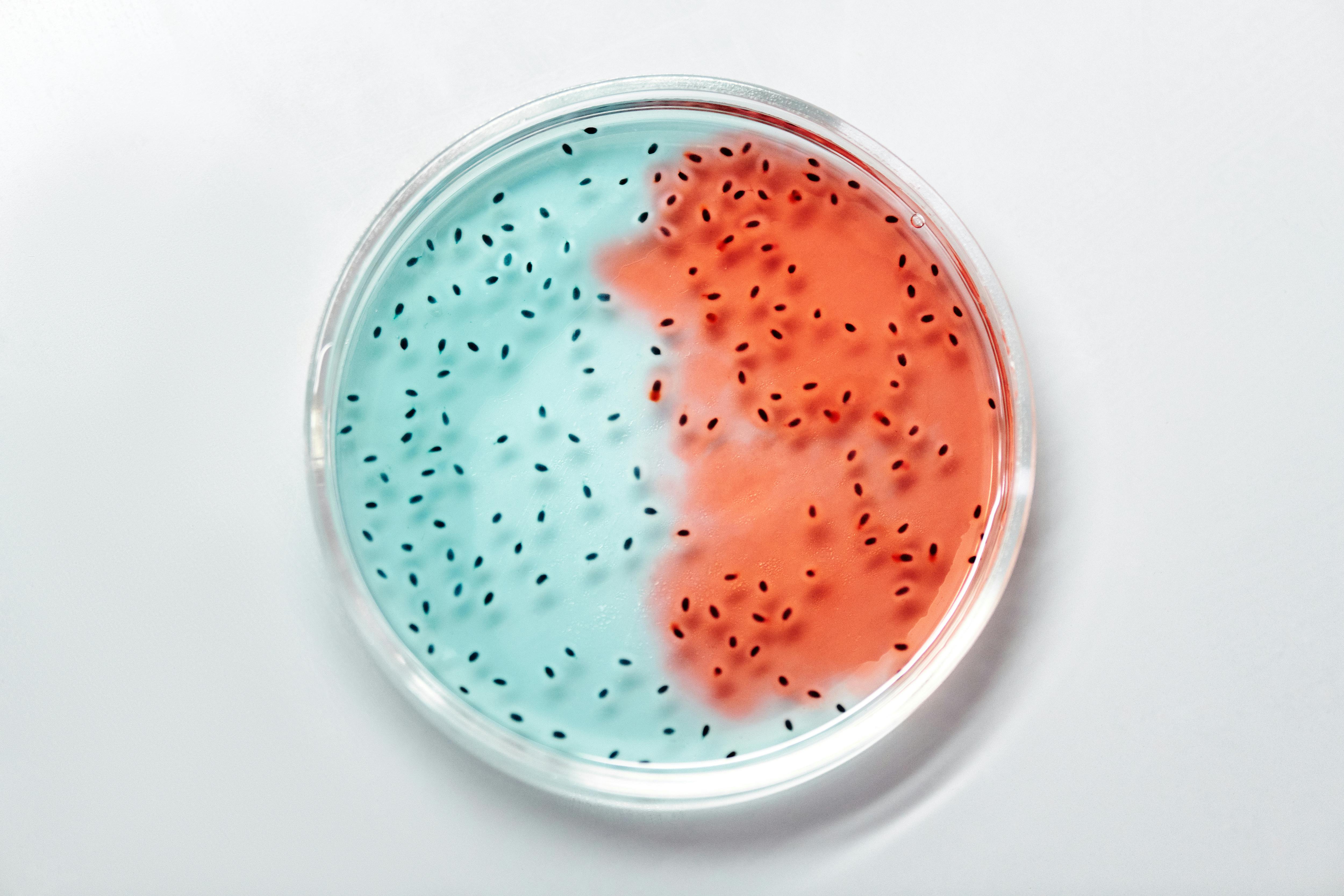 To Build Better ML Models, Think Like a Biologist